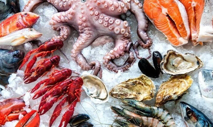 il pesce e la sua stagionalità