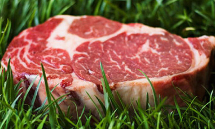 carne grass fed